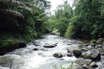 Ayung River in central Bali