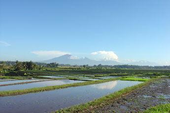 Bali landscape with Batukaru mountain in the background