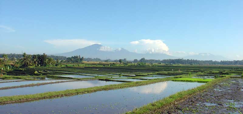 Bali typical landscape near Mengwi