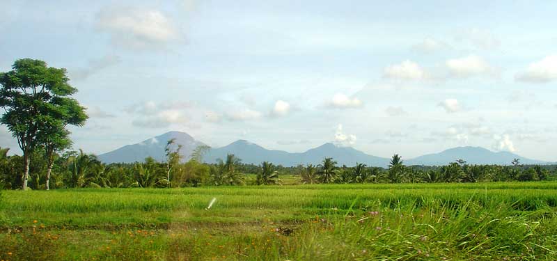 Bali typical landscape